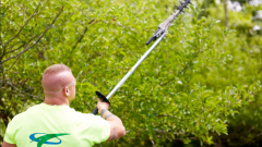 BruZiv lawn maintenance worker pruning trees