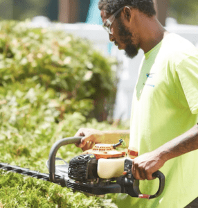 landscaper trimming hedges