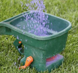 fertilizing for healthy lawn