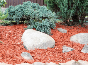 landscape design with feature rocks and shrubs