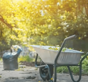 Wheelbarrow in lawn