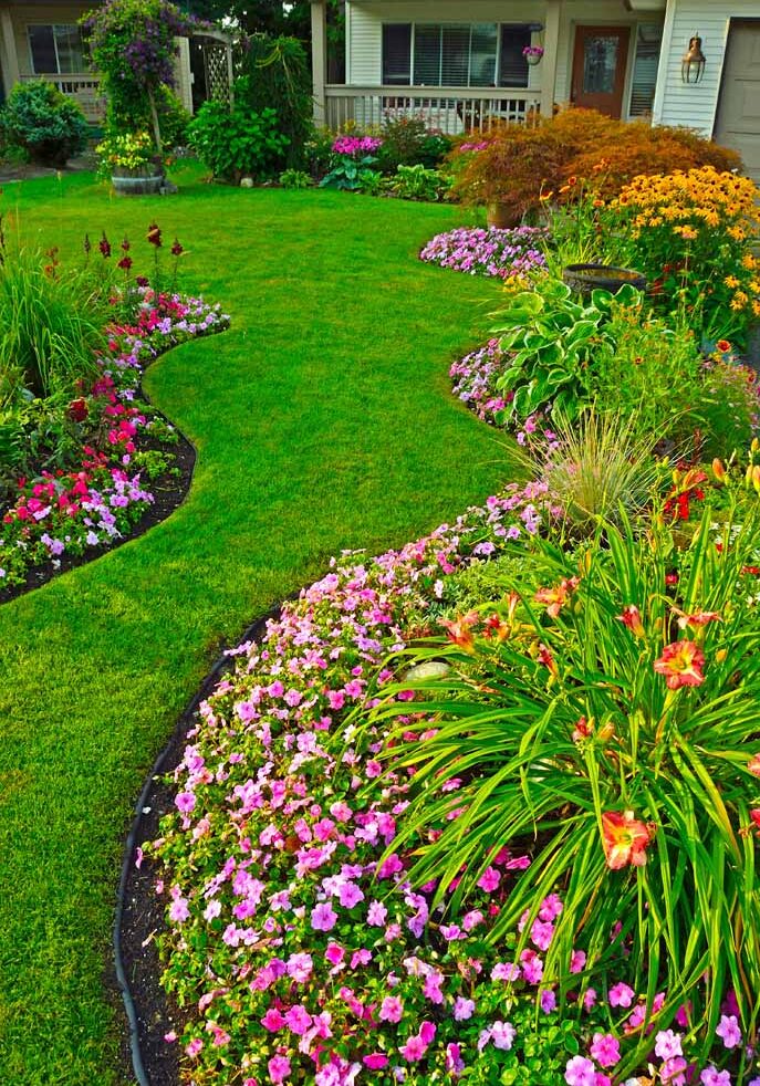 Residential flowerbeds in bloom