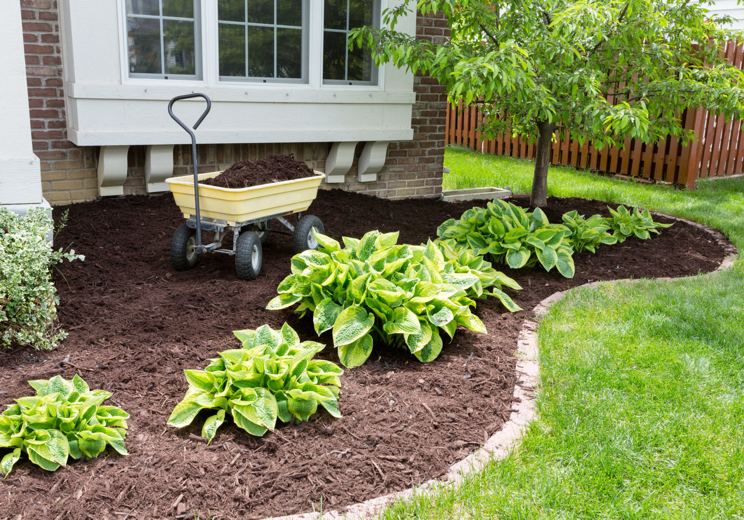 Maintenance on a brown mulched landscaping bed