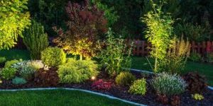 residential garden bed featuring subtle outdoor lighting