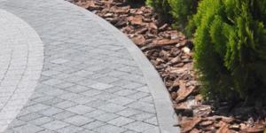 Concrete pathway by landscaping