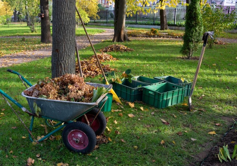 Fall cleanup and leaf removal